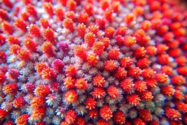 A microscopic view of diverse skin microbiome bacteria, showcasing a vibrant ecosystem on the surface of the skin. The image is colorful and detailed, highlighting the importance of a balanced microbiome for healthy skin.