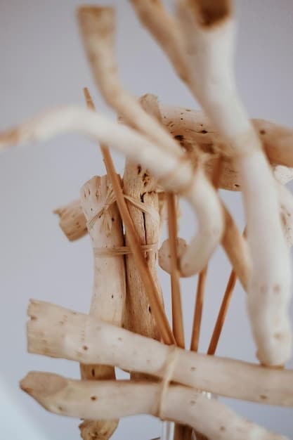 A close-up photograph showcasing various adaptogens in their natural forms, such as Ashwagandha roots, Rhodiola rosea flowers, and Eleuthero ginseng roots, arranged on a wooden surface to highlight their natural origins.
